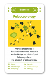 Paleocoprology